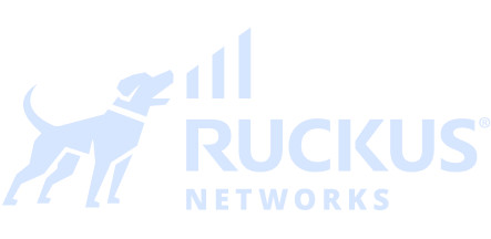 Ruckus Networks Logo